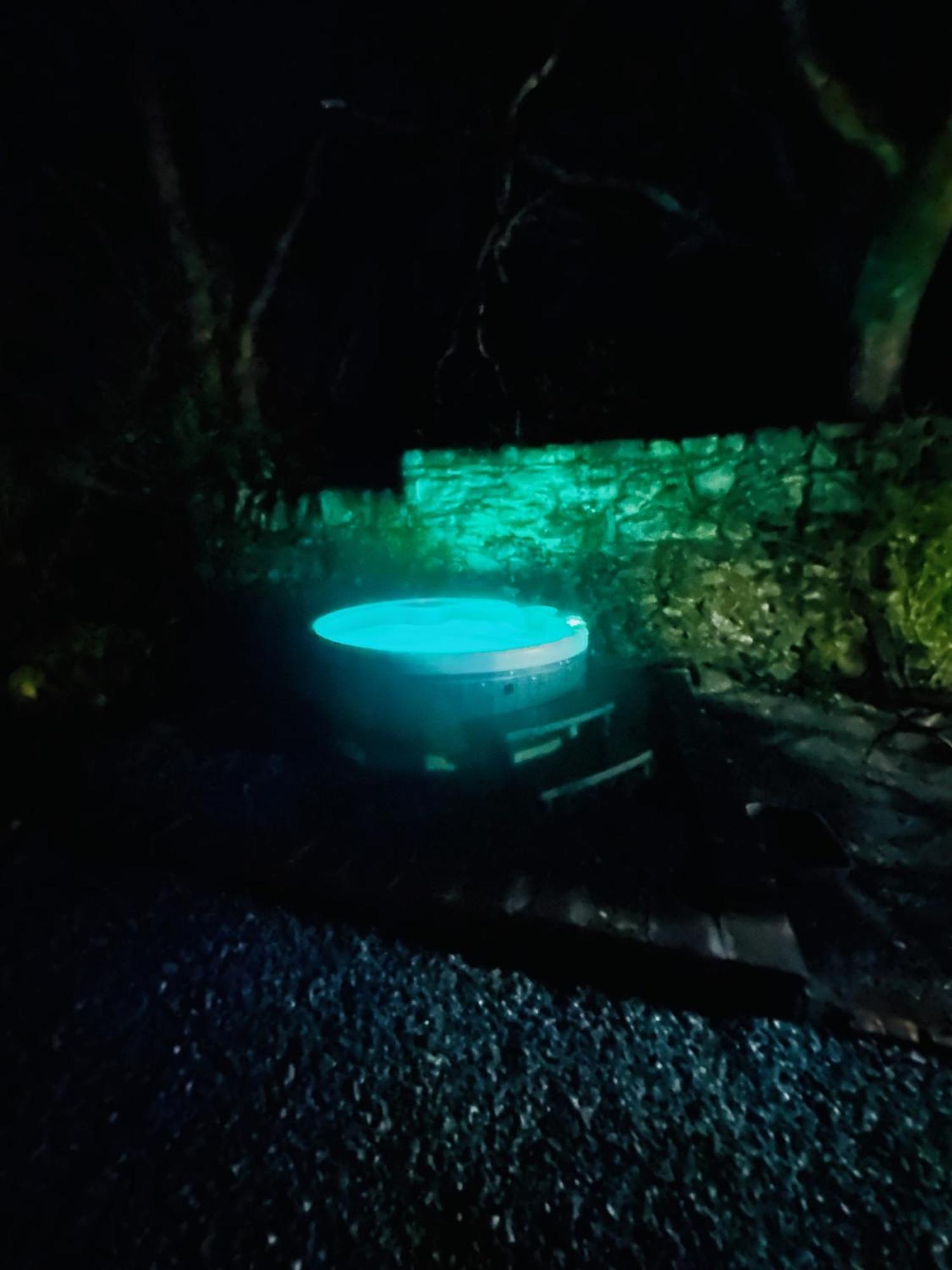 Tiny Romantic Retreat With Hot Tub On A Country Estate Near Cardigan Bay In Eryri Snowdonia Llanbedr  Eksteriør billede