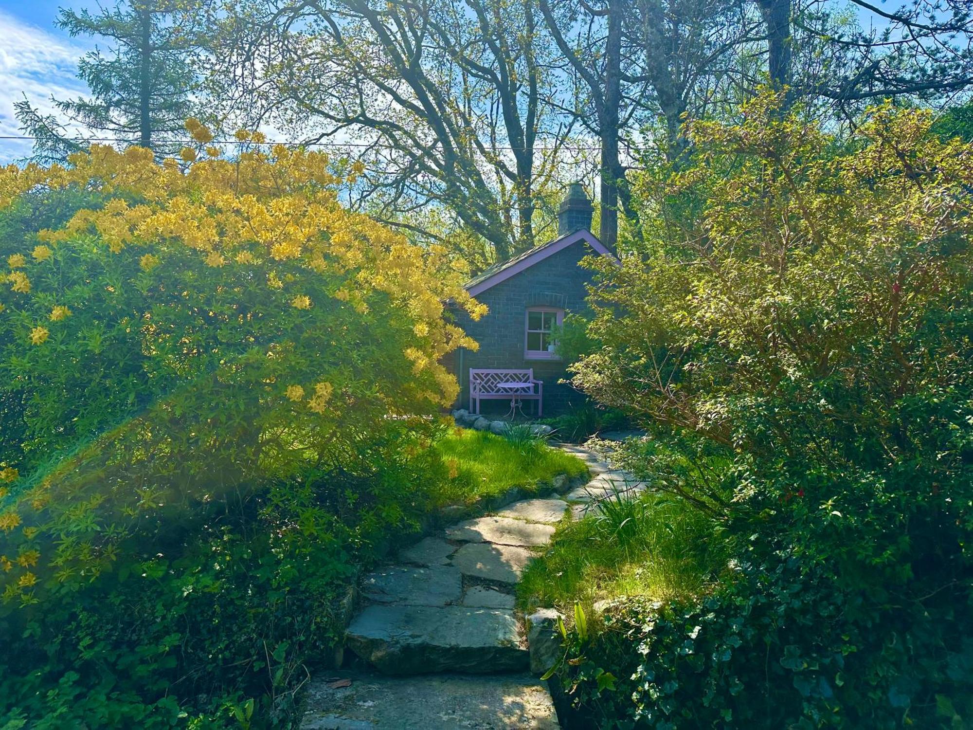 Tiny Romantic Retreat With Hot Tub On A Country Estate Near Cardigan Bay In Eryri Snowdonia Llanbedr  Eksteriør billede